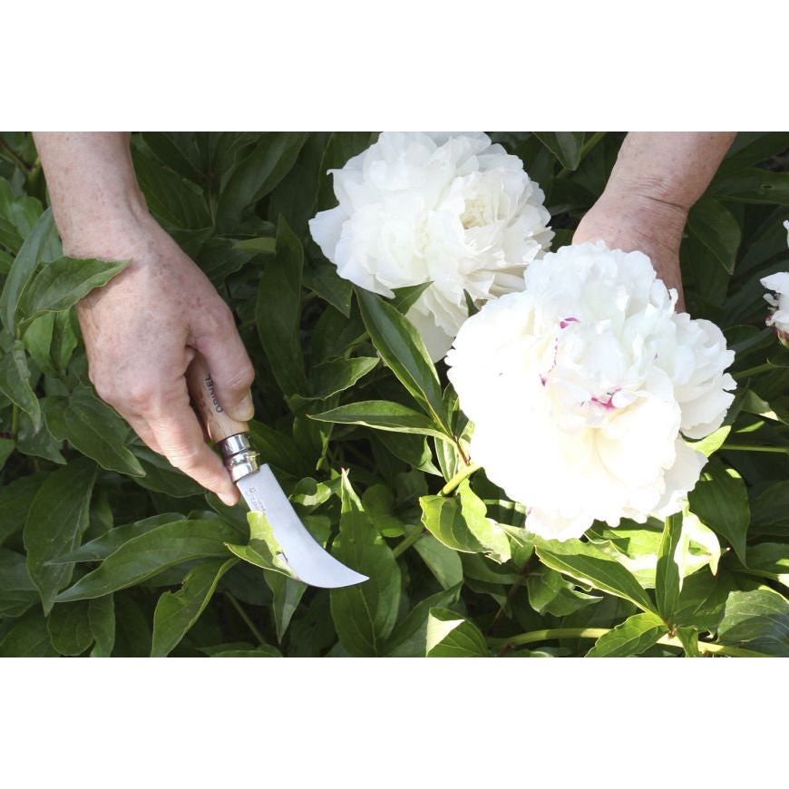 Opinel Blister genėjimo peilis N°8