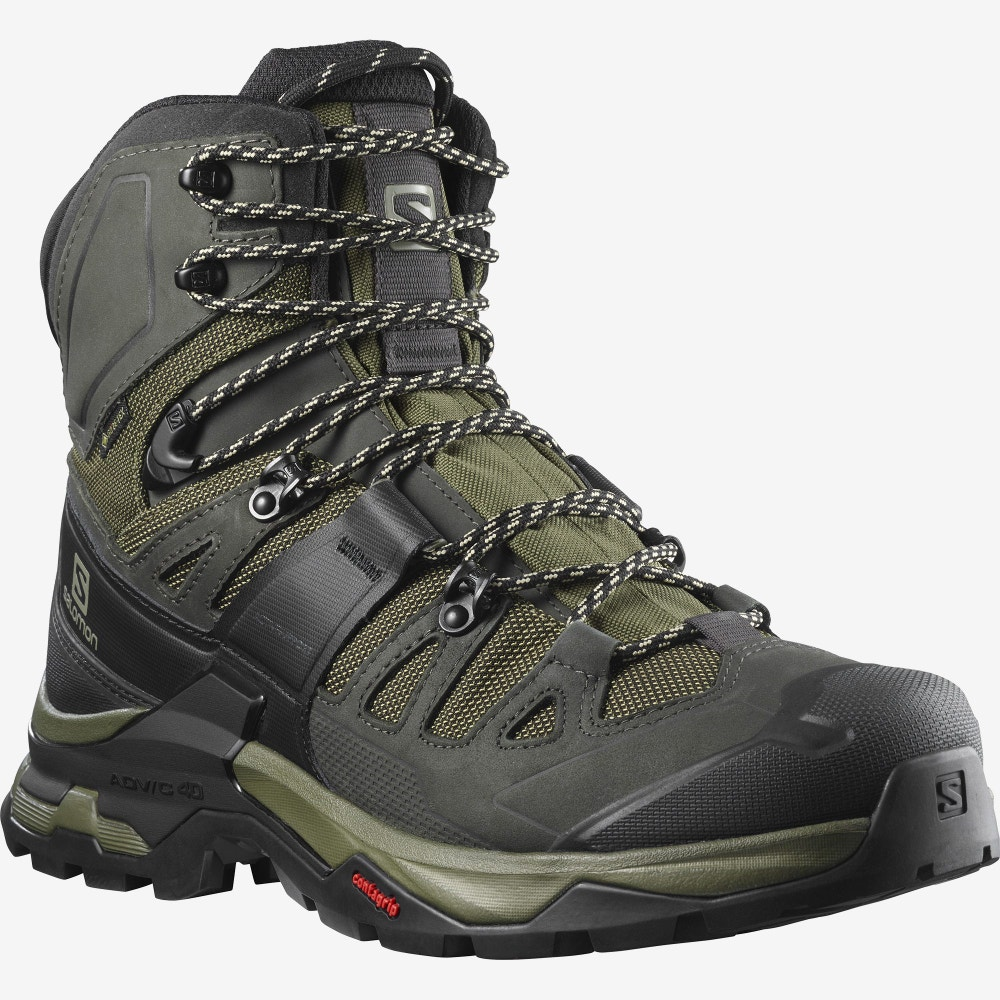 SALOMON apavi Quest 4 GTX green/black