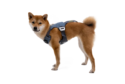 Ruffwear Load Up™ Harness