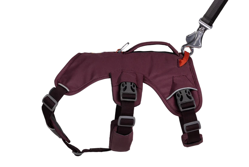 Ruffwear Web Master™ Harness