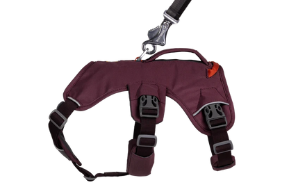 Ruffwear Web Master™ Harness