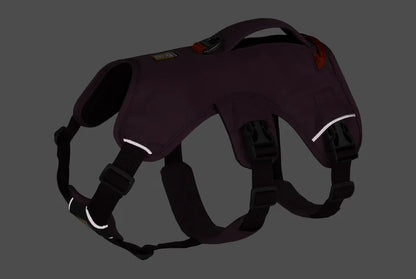 Ruffwear Web Master™ Harness