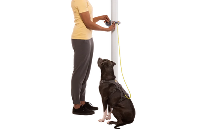 Ruffwear Hitch Hiker™ Leash