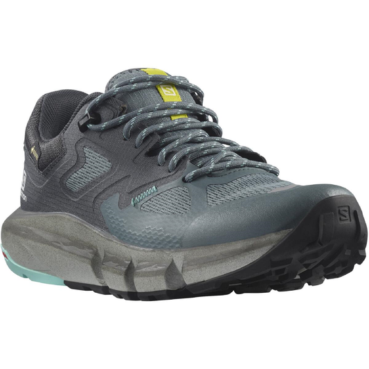 SALOMON apavi Predict Hike GTX W grey/blue