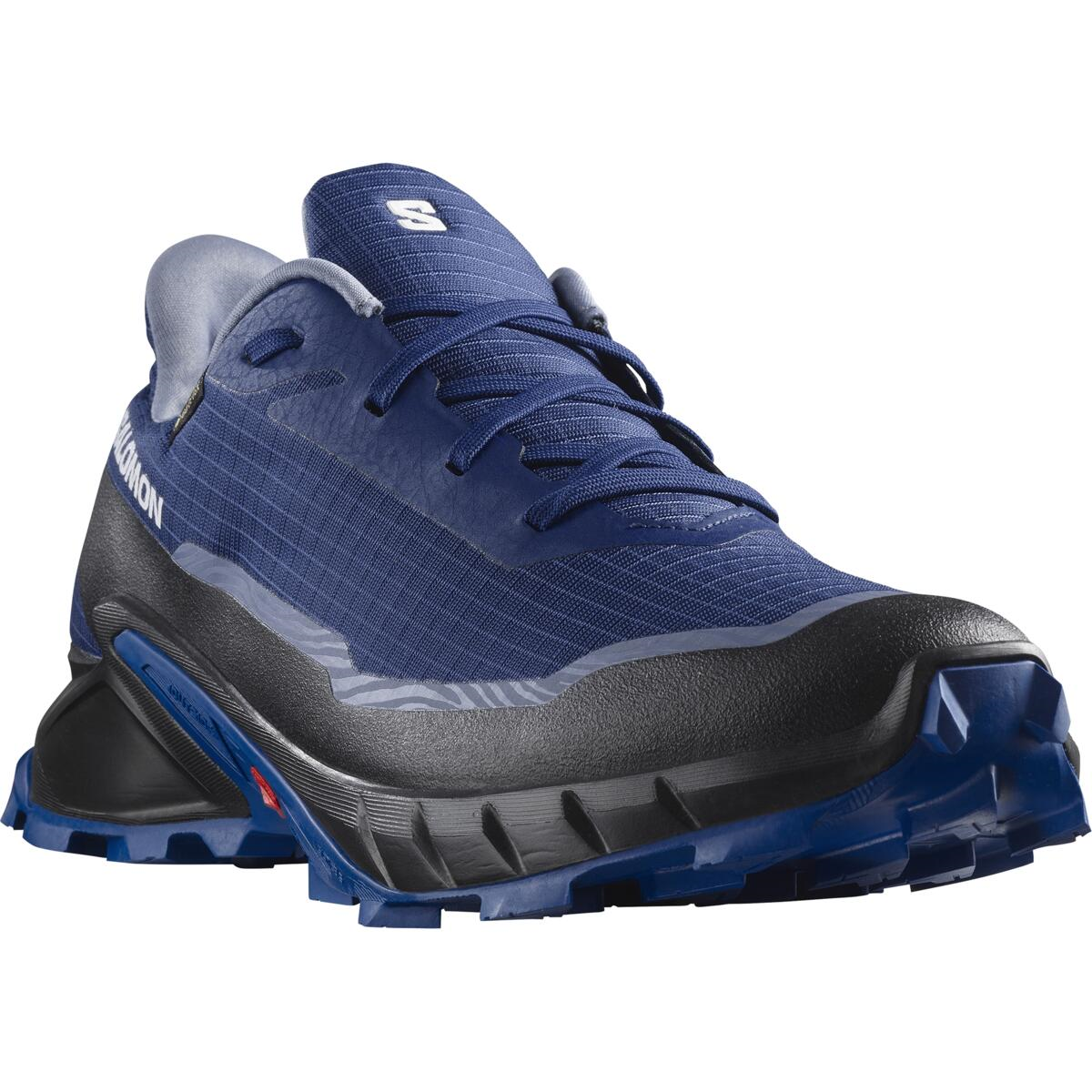 SALOMON apavi Alphacross 5 GTX blue/black
