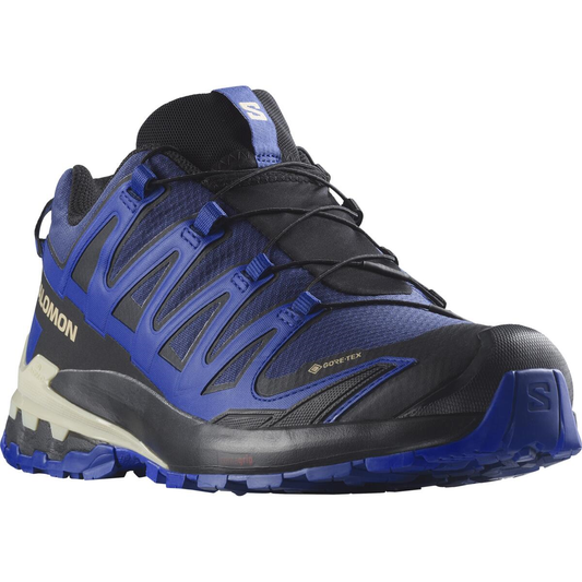 SALOMON apavi XA Pro 3D V9 GTX blue/black