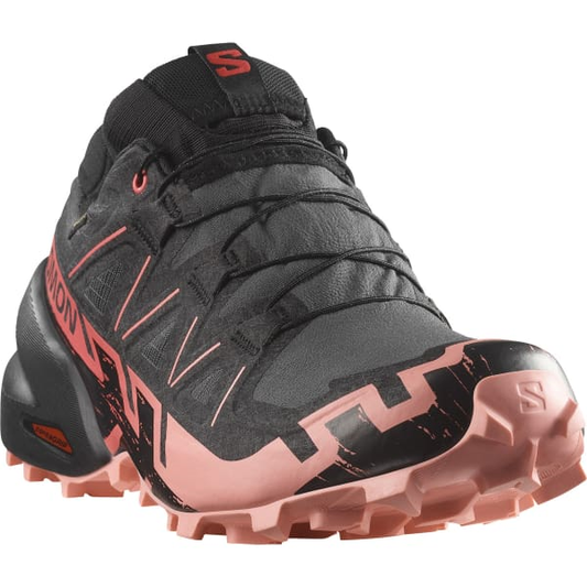SALOMON apavi Speedcross 6 GTX W