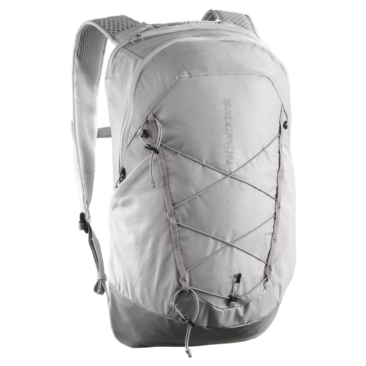 SALOMON mugursoma XT 25 grey