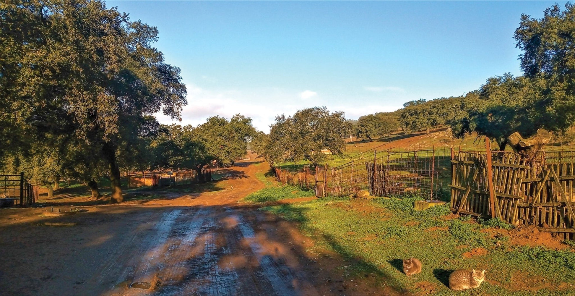 La Via de la Plata and Camino Sanabres (ENG) - DABAI.LV