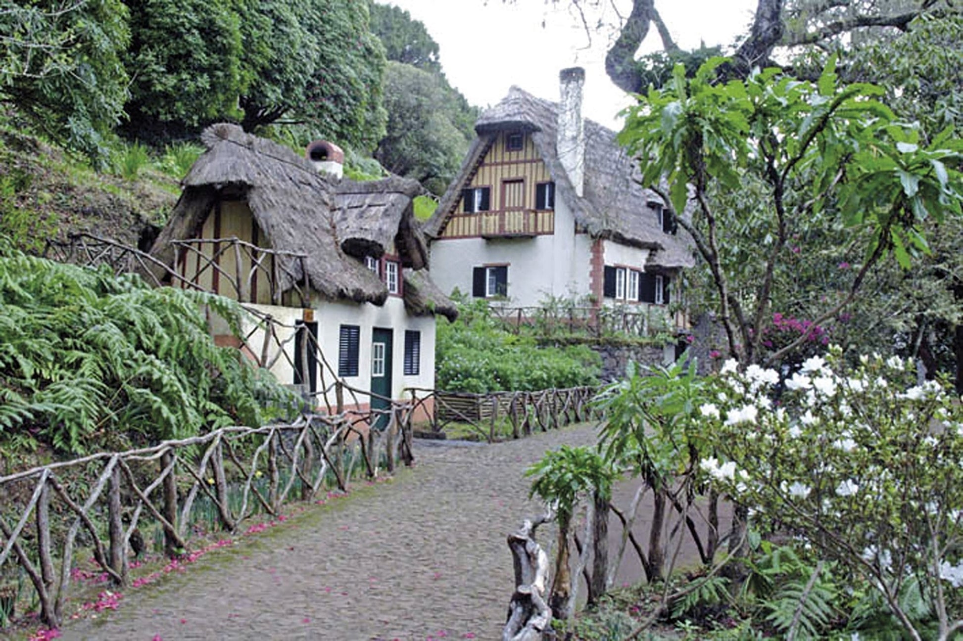 Walking on Madeira (ENG) - DABAI.LV