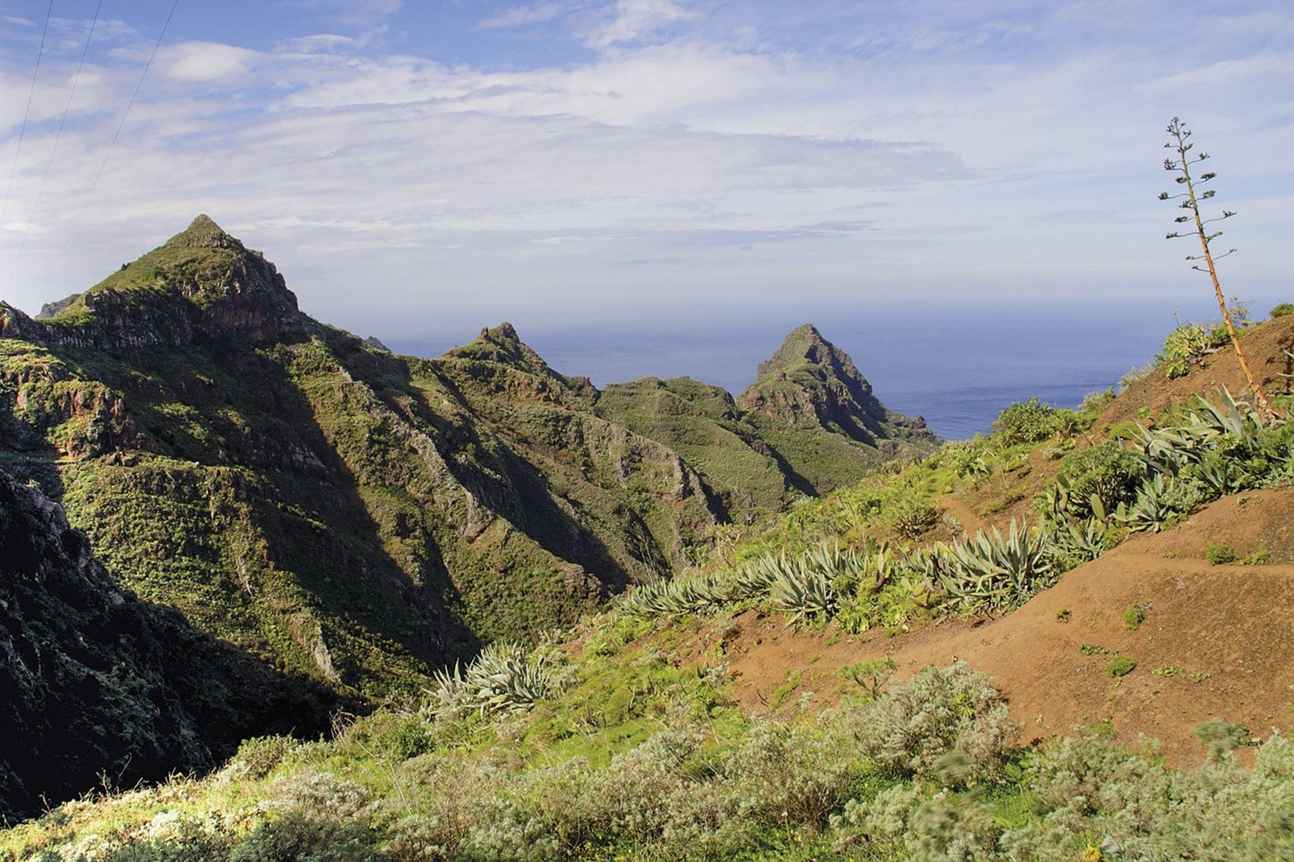 Walking on Tenerife (ENG) - DABAI.LV
